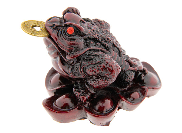 Geldfrosch, rot