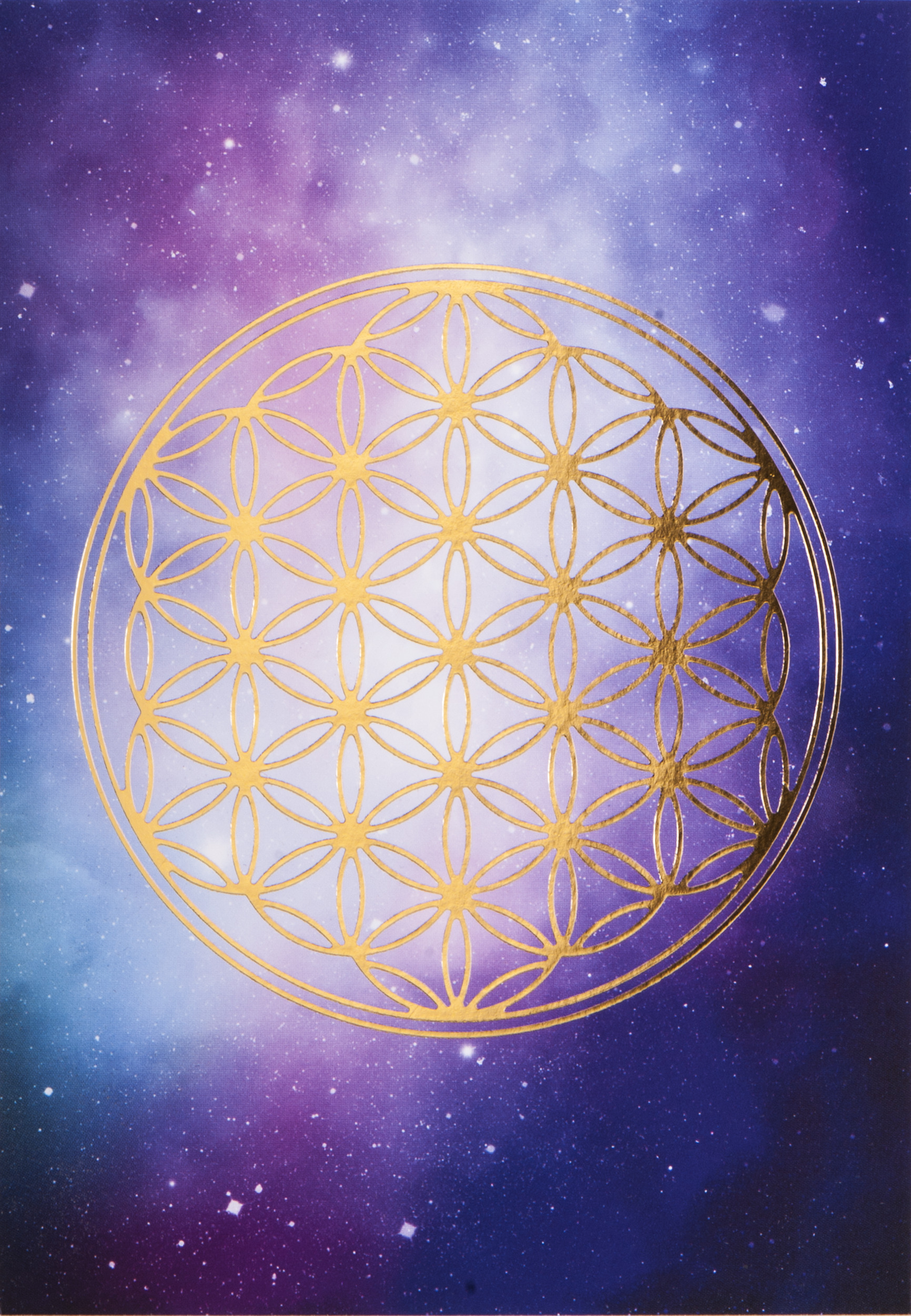 Flower of Life Postcard | Berk - Inner Worlds